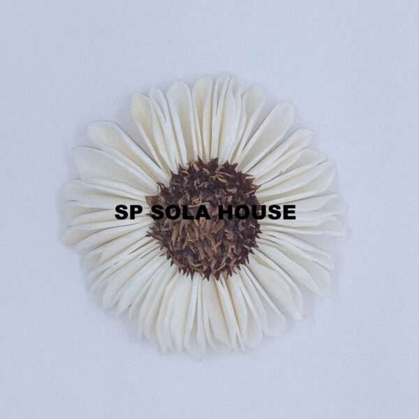 Wholesale Sola Wood Natural Sunflower
