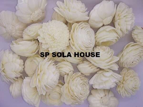 Sola Wood Flower Assortment