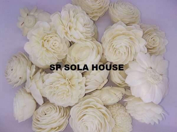 Sola Wood Flower Assortment
