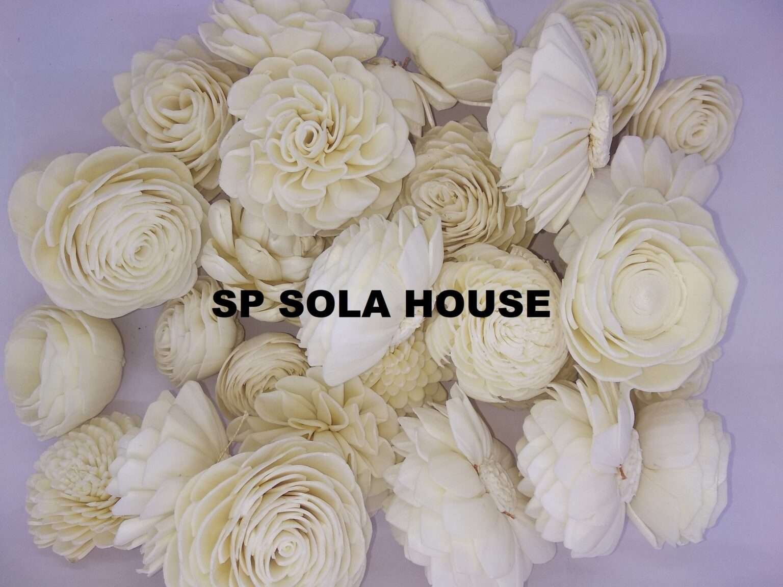 Sola Wood Flower Assortment Sola Flower Export