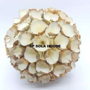 Sola wood ball