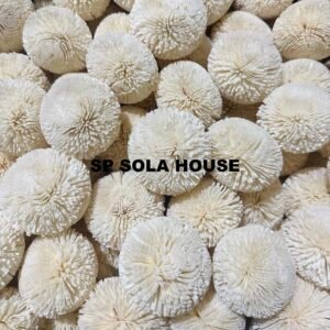 Sola Poof Ball