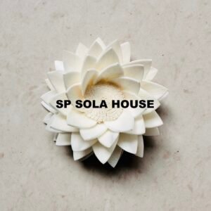 Mangkala Ubol Water Lily