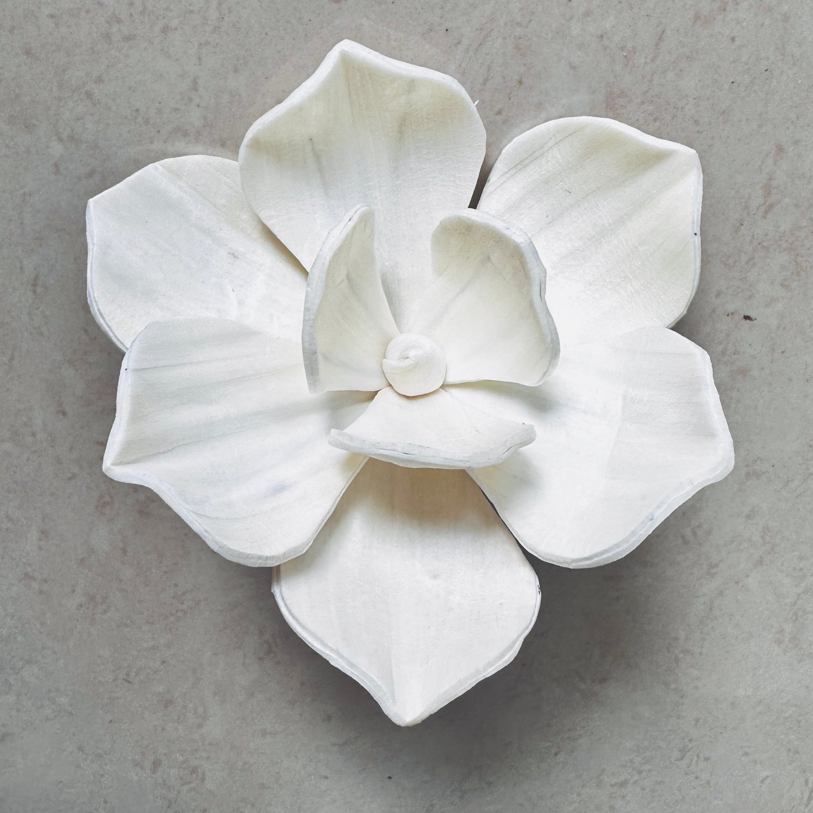 Magnolia