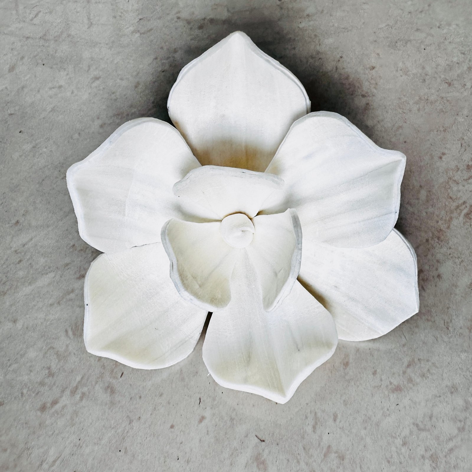 Magnolia Sola Flower - Image 3