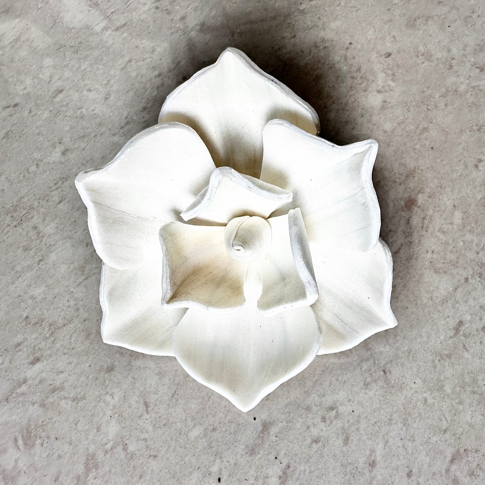 Magnolia Sola Flower - Image 2